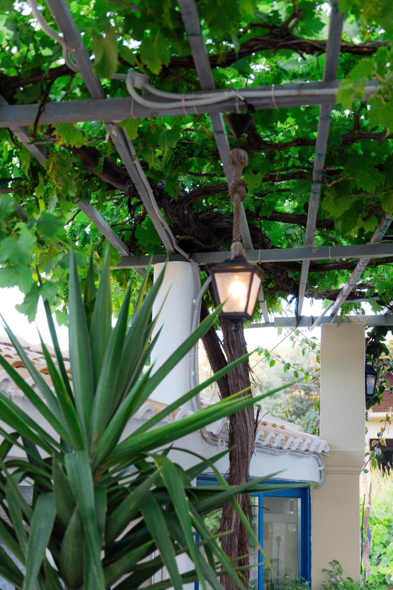 Sunsea Wellness Resort Agios Stefanos Avliotes  Exterior photo