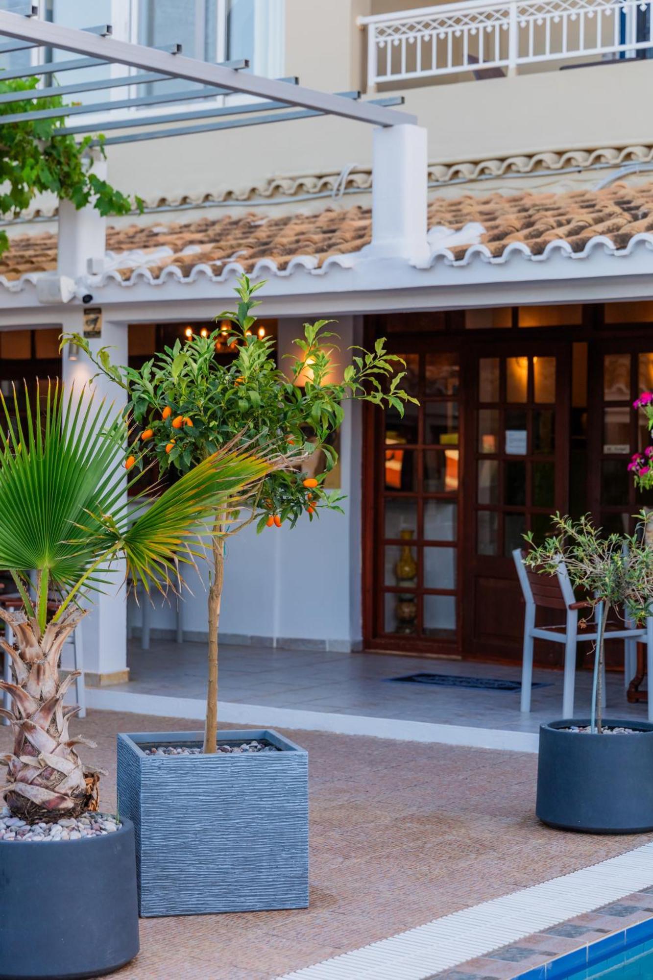 Sunsea Wellness Resort Agios Stefanos Avliotes  Exterior photo